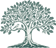 Beckney Studios oak tree